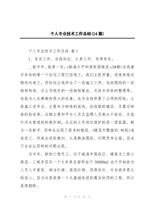 个人专业技术工作总结(14篇)