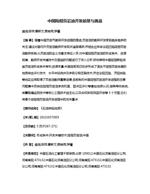中国陆相页岩油开发前景与挑战