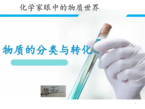 苏教版化学必修一物质的分类与转化PPT课件