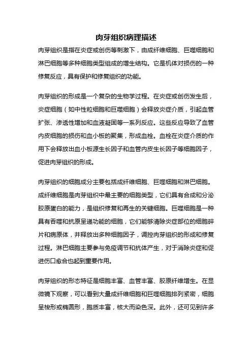 肉芽组织病理描述