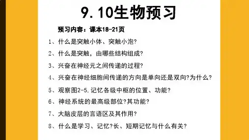 高中生物精品资源兴奋在神经元上的传递高二上学期2019选择性必修1(共28张PPT)