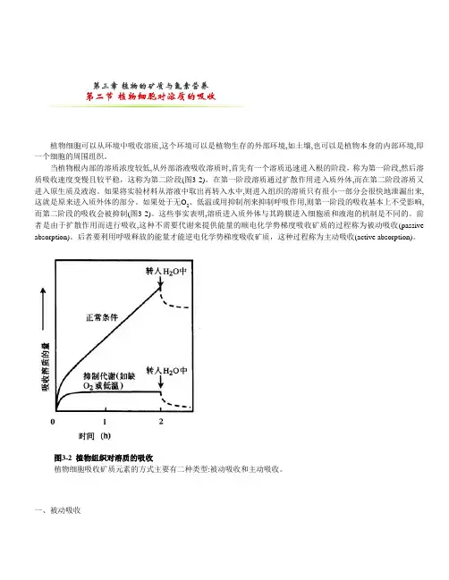 第二节 植物细胞对溶质的吸收