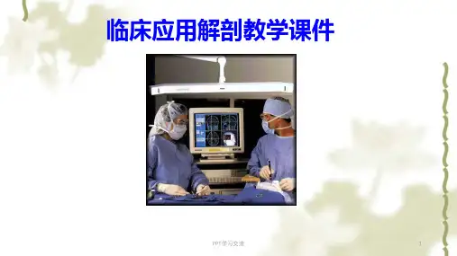 临床应用解剖五盆部及会阴课件