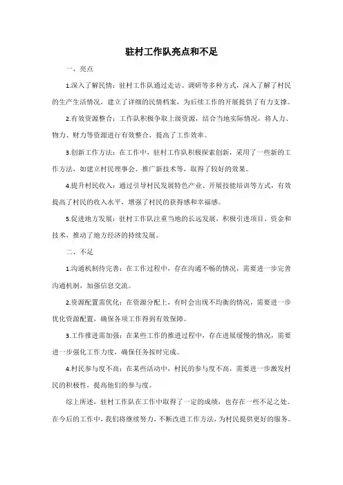 驻村工作队亮点和不足