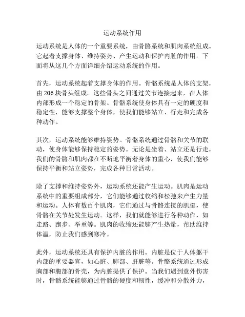 运动系统作用