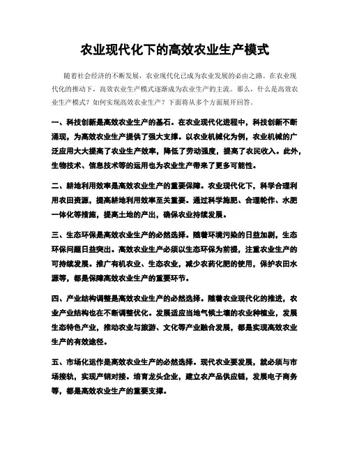 农业现代化下的高效农业生产模式