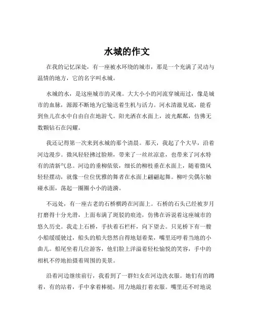 水城的作文
