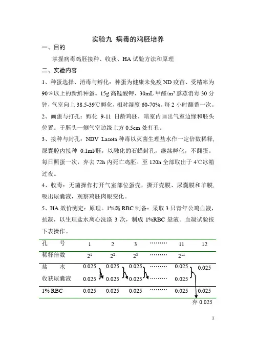 病毒的鸡胚培养