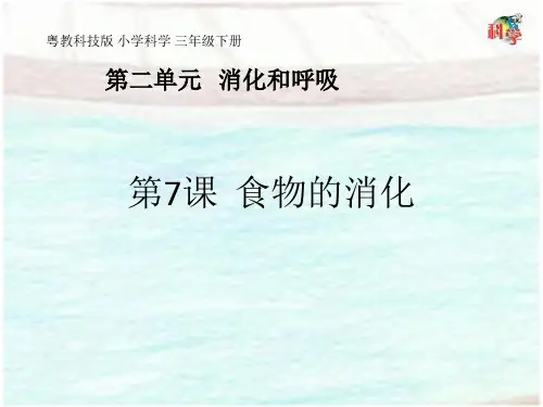 三年级下册科学PPT课件 《食物的消化》粤教版 精品课件