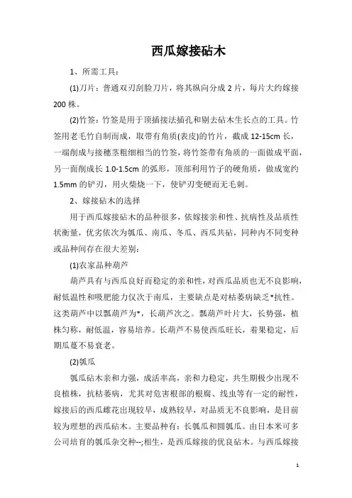 西瓜嫁接砧木
