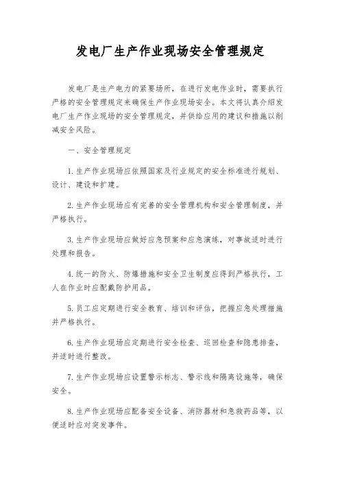 发电厂生产作业现场安全管理规定