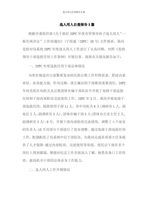 选人用人自查报告3篇
