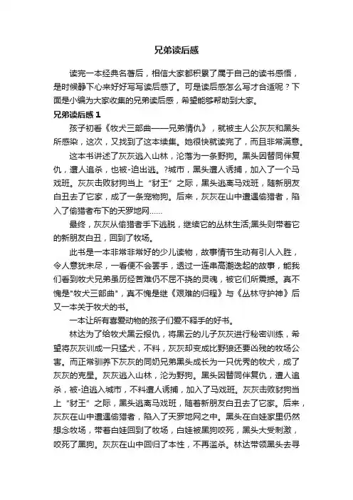 兄弟读后感