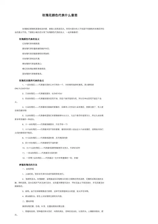 玫瑰花颜色代表什么意思