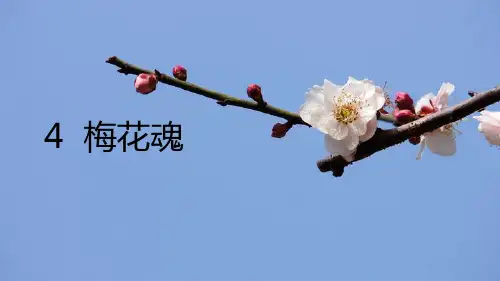 部编版五年级下册语文《梅花魂》PPT优秀课件