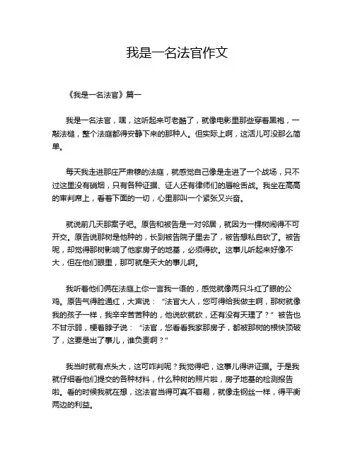 我是一名法官作文