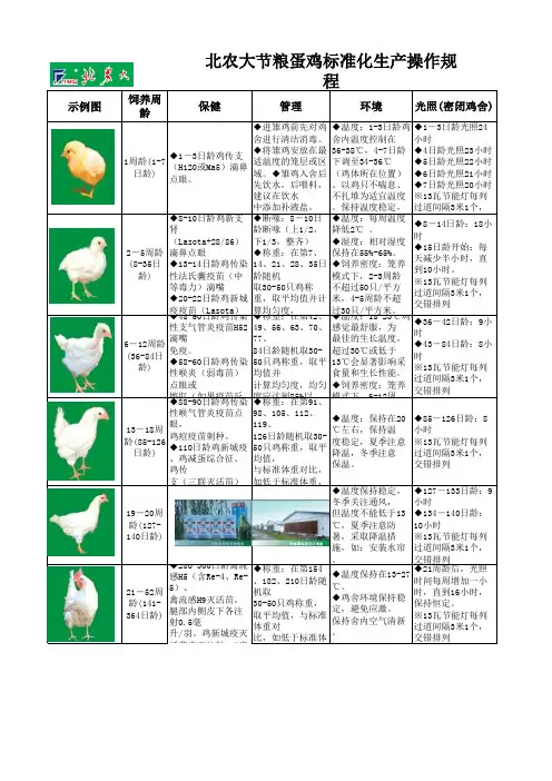 蛋鸡标准化生产操作规程定版