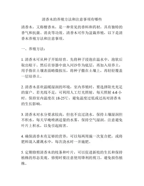 清香木的养殖方法和注意事项有哪些