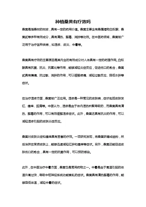 种植桑黄有疗效吗