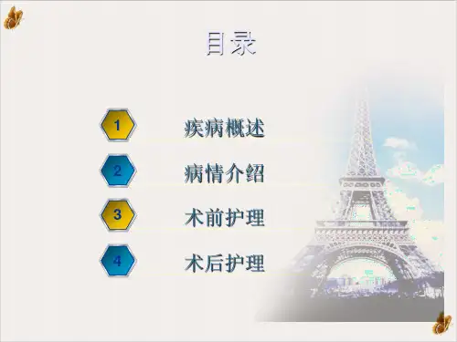 玻璃体切除病人查房ppt课件