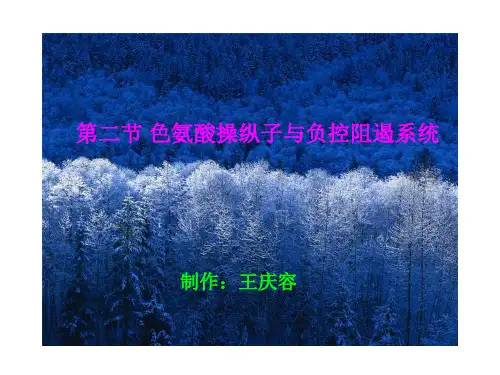 第三节 色氨酸操纵子