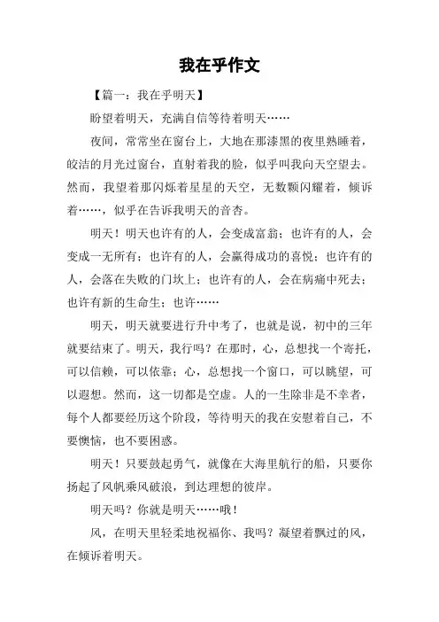 我在乎作文