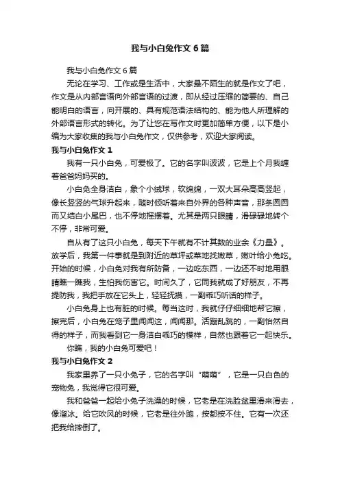 我与小白兔作文6篇