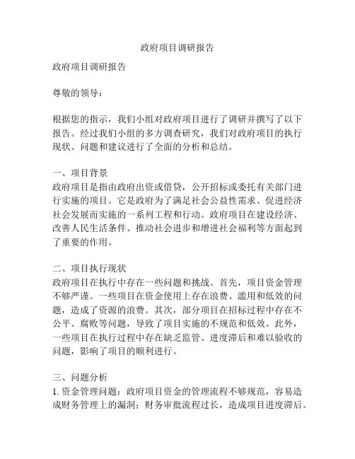 政府项目调研报告