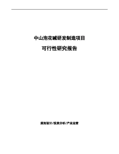 中山泡花碱研发制造项目可行性研究报告