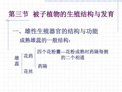 植物的生殖与发育