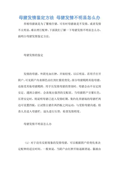 母猪发情鉴定方法 母猪发情不明显怎么办