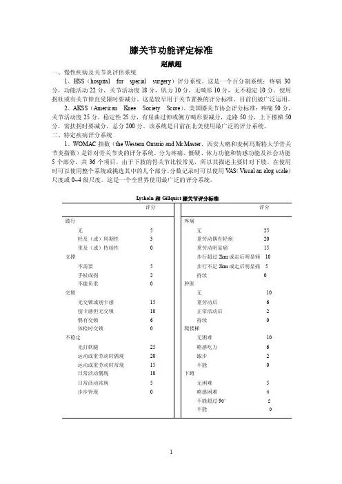膝关节功能评定标（doc）