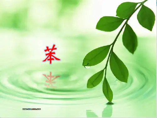 苯