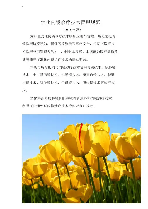 最新消化内镜诊疗技术管理规范课件.doc