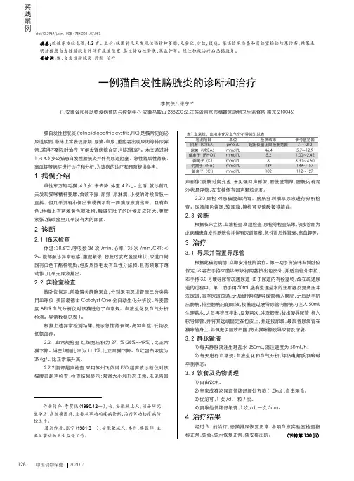 一例猫自发性膀胱炎的诊断和治疗