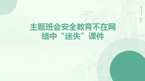 主题班会安全教育不在网络中“迷失”课件