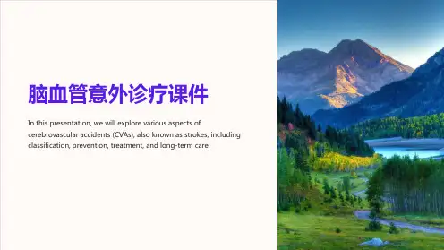 《脑血管意外诊疗课件》