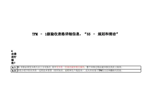 5S审核检查表(含附属全套Excel表)