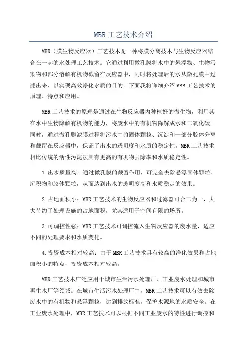 MBR工艺技术介绍