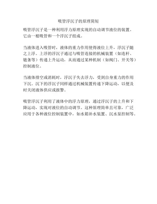 吸管浮沉子的原理简短