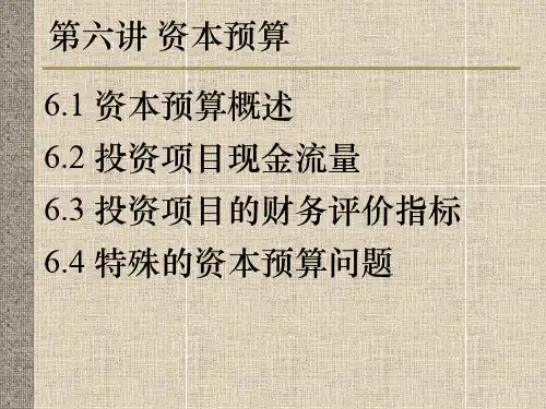 资本预算管理概述 (ppt 49页)