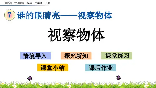 小学数学青岛版五四制二年级上册七谁的眼睛亮观察物体
