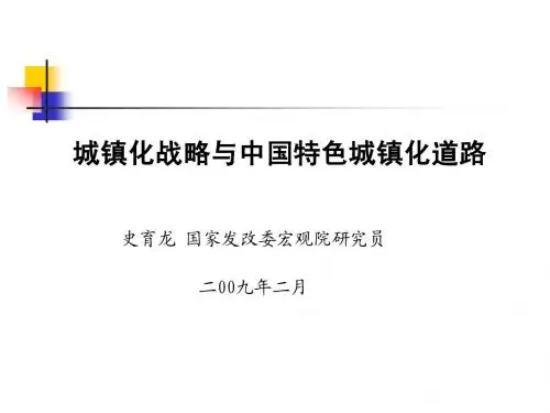 城镇化战略与中国特色城镇化道路