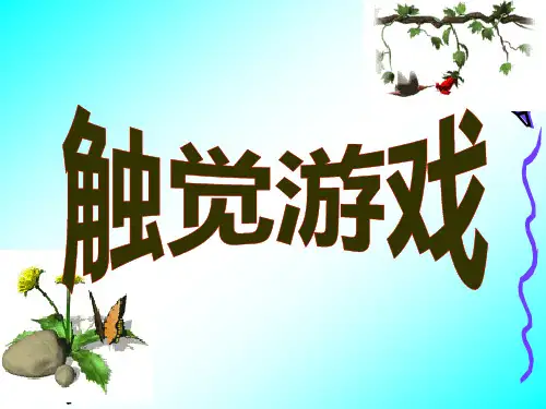 五年级下册语文课件：作文指导：触觉游戏 全国通用 (共32张PPT)