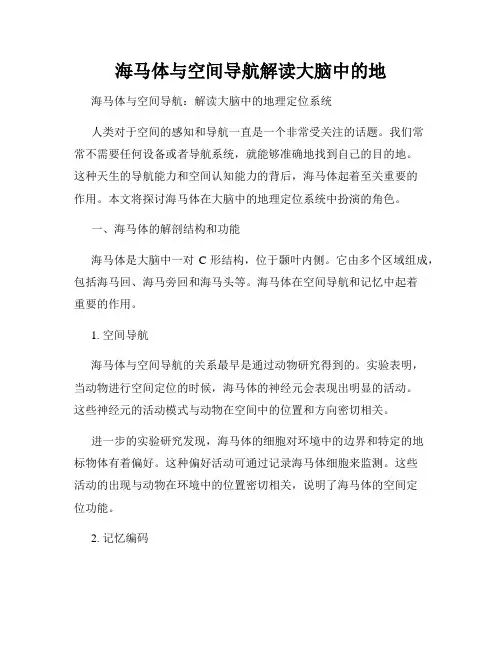 海马体与空间导航解读大脑中的地