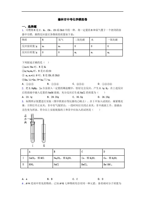 榆林市中考化学模拟卷