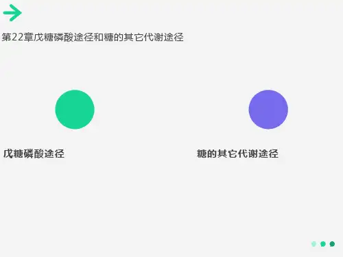 戊糖磷酸途径和糖的其它代谢途径
