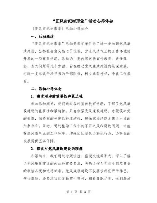 “正风肃纪树形象”活动心得体会