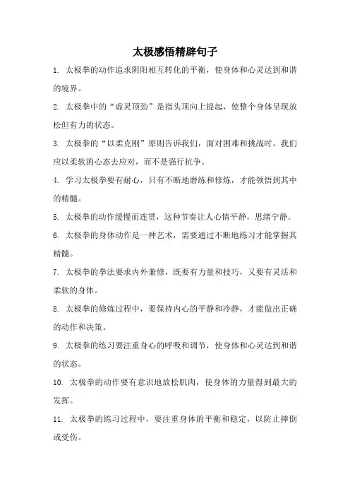 太极感悟精辟句子