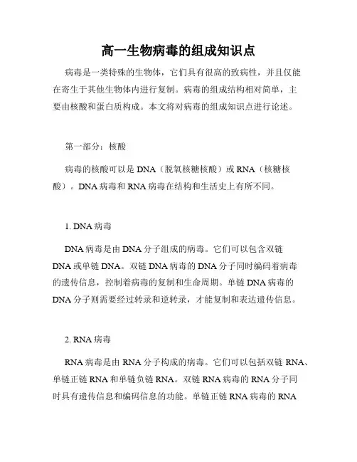高一生物病毒的组成知识点